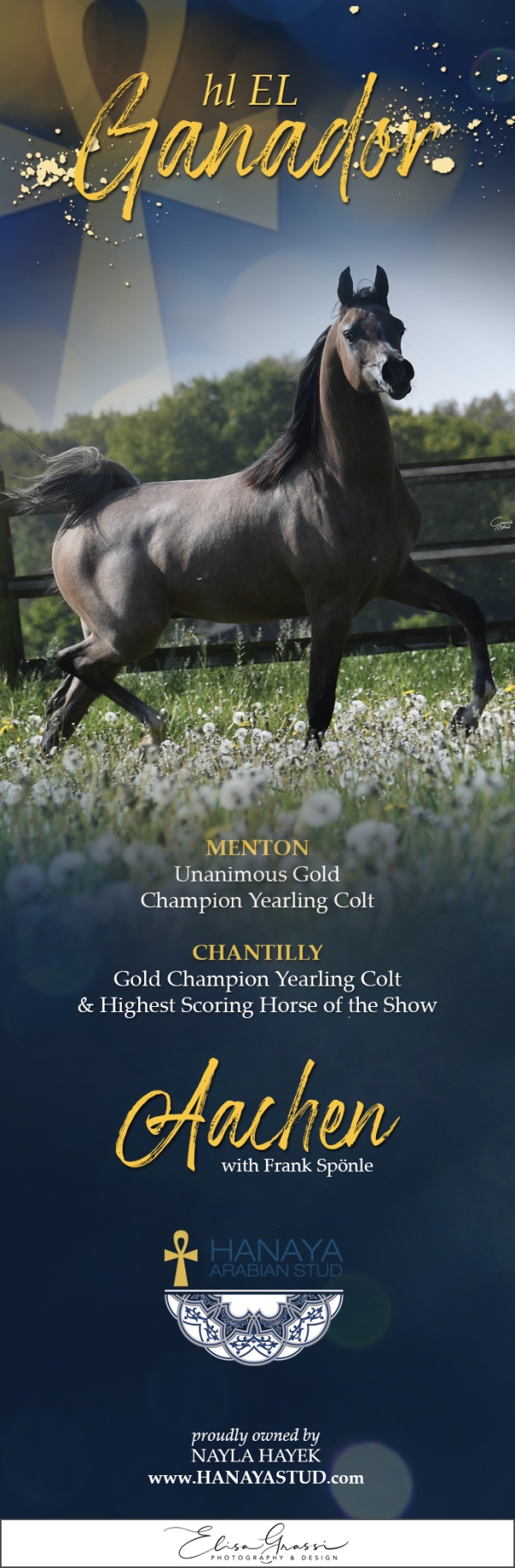 HL El Ganador Heading To Aachen