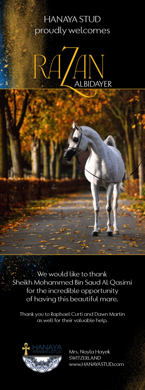 Razan Albidayer joins Hanaya Stud