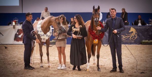 41st All Nations Cup - Aachen 2025