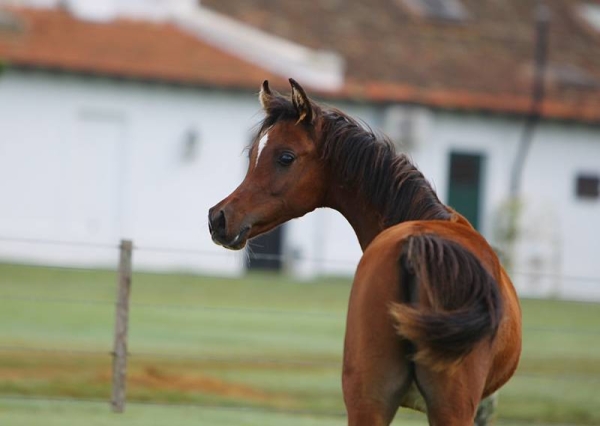 History in the making!