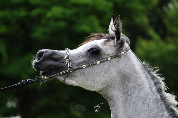 Welcome Wadad Zamani!