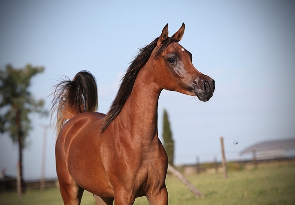 We welcome ZT Aaminah