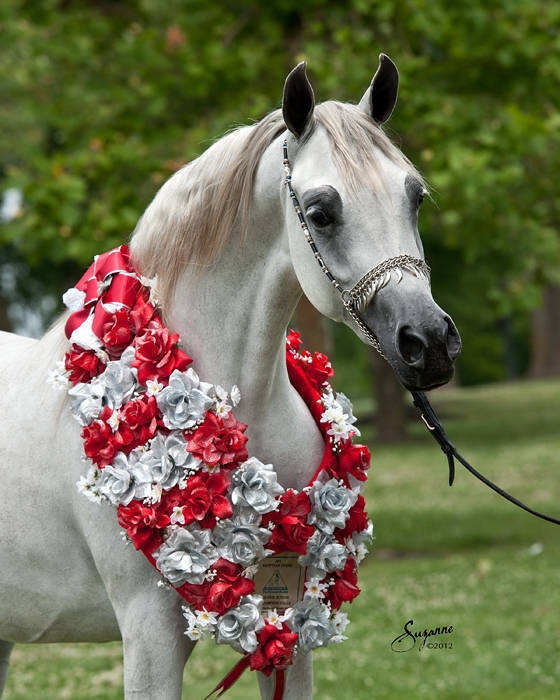 2012 European Egyptian Event